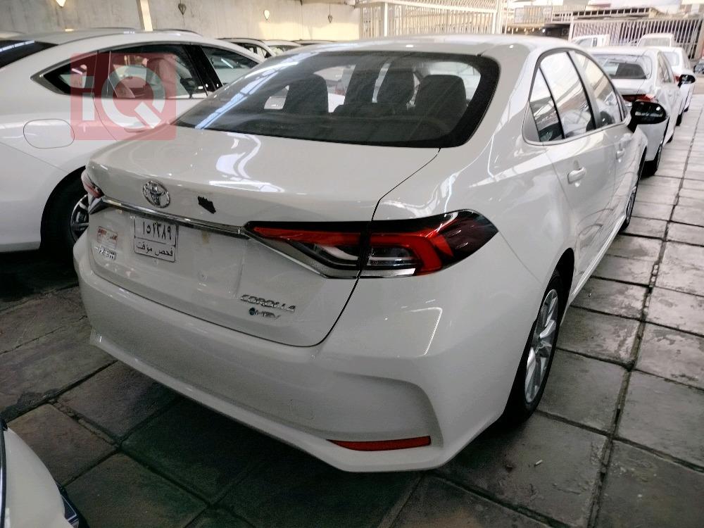 تويوتا كورولا